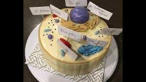 We did not find results for: Making An Animal Cell Model Using Cake Fondant Great For School Science Projects Youtube