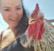 Chickens addiction help and cure options