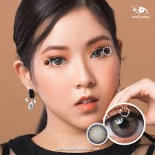 Softlens Eos Elin 3Tone Softlens Minus Dan Normal Softlens Korea  Berkualitas Softlens Disposabel 6 Bulan Softlens Dengan Uva Dan Uvb