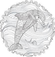 100 best dolphin images for kids. Free Printable Dolphin Coloring Pages For Adults Novocom Top