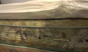 The mixture of baking soda and soap. How To Remove Bodily Fluids From Mattress You Know What Fluids Bedperfect