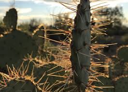 All categories antiques art baby books business & industrial cameras & photo cell phones & accessories clothing, shoes & accessories coins & paper money collectibles computers/tablets & networking consumer electronics crafts dolls & bears. A Walk In Someone Else S Shoes Christian Leader