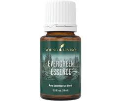 Evergreen means green leaves throughout the year. Evergreen Essence Essential Oil Young Living Essential Oils