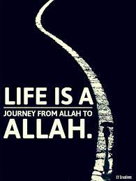 Pin On 65 Islamic Allaah