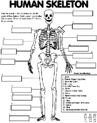 Includes images of baby animals, flowers, rain showers, and more. Human Body Free Coloring Pages Crayola Com