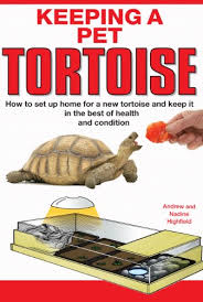 When getting a turtle, it is truly a commitment. Keeping A Pet Tortoise Ebook Highfield Nadine Highfield Andrew Reed Martin Clucas Phil De Ste Croix Philip Amazon Co Uk Kindle Store
