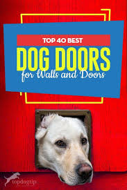 Petsafe wall entry pet door for dogs and cats. 40 Best Dog Door Brands 2020 Reviews In Walls Screens And Doors