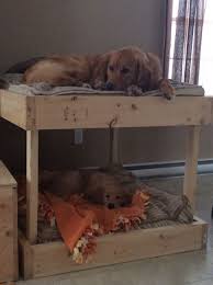 literas para choco y latte literas para perros camas para perros casas para perros