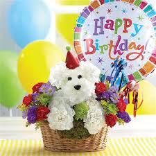 Wish a special someone a happy birthday! Conroy S Flowers North Hollywood Local North Hollywood Ca Flower Shop Fresh Flower Delivery
