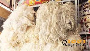 Kısa kısa tabirler ve yorumlar Ruyada Yun Gormek Ruyada Yun Yikamak Yun Yatak Yorgan Cirpmak 1001ruyatabiri Com