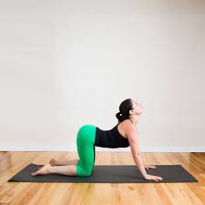 It involves moving the spine from a rounded position (flexion) to an arched one (extension). Cat Cow Pose Yoga Sequence To Melt The Tension Away Popsugar Fitness Photo 6