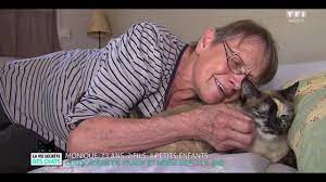 Commentaires concernant la série la vie secrète des chats. La Vie Secrete Des Chats Saison 2 Episode 1 Tf1 Youtube