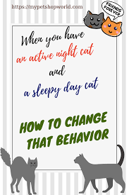 12 Days Is All You Need With This Secret Cat Training There Are No More Sleepless Nights Cat Training Cat Biting Dog Nipping