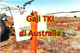 Adakah anda tahu kerja di australia gaji nya lumayan?. Gaji Tki Di Australia Terbaru Tahun 2020 Warga Negara Indonesia