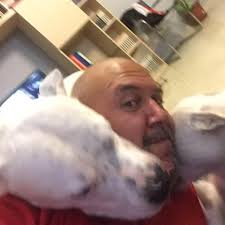 Every summer, animals suffer in hot cars. Call 1717 immediately if you spot  an animal in distress. 🔥 With rising temperatures, closed cars become  dangerous in minutes