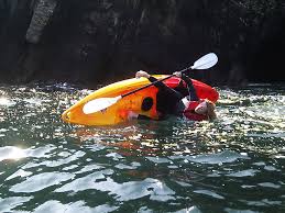 What color kayaks attract sharks? How To Escort Kayaking For Open Water And Marathon Swimming Loneswimmer