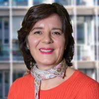 40+ Profile mit dem Suchbegriff „Catalano“