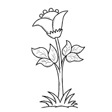 This particullar coloring sheet meassure is around 600 pixel x 600 pixel with approximate file size for around 64.25 kilobytes. Grass Coloring Page For Children Stock Image Illustration Of Coloring Color 170393943
