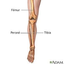 Fractura De Pierna Inpatient Care Care Guide Information En Espanol