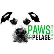 Maybe you would like to learn more about one of these? Natural Pet Specialty Shop Home Facebook