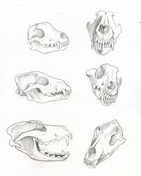 Animal tattoos head outline drawing. Pin On Helpful For Art
