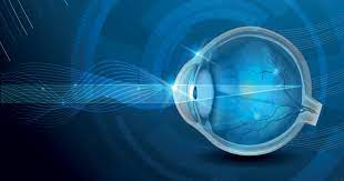Maybe you would like to learn more about one of these? Eye Anatomy A Closer Look At The Parts Of The Eye