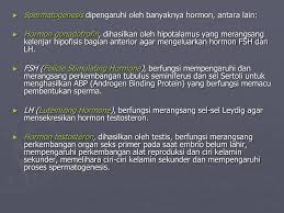 We did not find results for: Ppt S I S T E M R E P R O D U K S I Powerpoint Presentation Free Download Id 6167588
