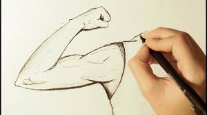 How To Draw A Flexed Biceps Muscle Youtube Draw a circle around the arm—this will be the triceps and biceps all in one. how to draw a flexed biceps muscle