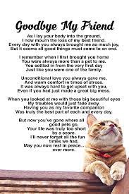 Pet loss poems are a healing way to sooth your heart and soul when experiencing pet loss grief. Rainbow Bridge Cat Cat Loss Cat Loss Poems Pet Loss Grief