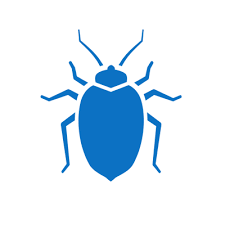 How to sort out a termite infestation. Best Pest Control Ventura Ca Free Termite Inspection Eco Friendly