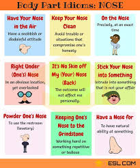 Nose Idioms 10 Useful Phrases Idioms With Nose Idioms English Idioms English Vocabulary