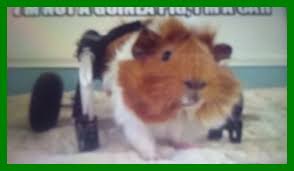 Pin On 41 Great Pics And Memes