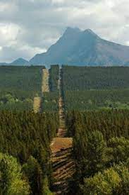 Northern, minnesota ~~~~~ july 16, 2021 (lsn) the superior national forest is announcing closures in the boundary waters canoe area wilderness (bwcaw) effective july 17, 2021, due to wildfires in quetico provincial park along the international border in canada. Pin On Borderline Project Research