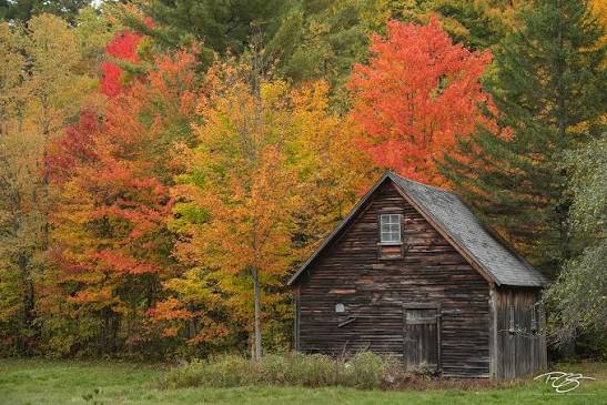 The Cabin in the Woods | White Mountains, New Hampshire | Timm Chapman  Photography