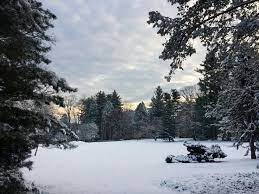 The Winter Sky And A Blanket Of Snow Stoneleigh A Natural Garden Photo From Zinnia Cheetham Staff Member January 2017 Natural Garden Winter Sky Nature