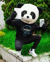 Panda Aventurero Home Facebook Electronica, moda, hogar, libros, deporte y mucho mas a precios bajos en amazon.es. panda aventurero home facebook