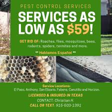 If you are living with your family at your home and you encounter spiders, bed bugs, mosquitoes, cockroaches, rats or any other type of pest you will feel very uncomfortable knowing that your family has to live around those insects. El Paso S 1 Top Rated Pest Management Company Pest Control El Paso