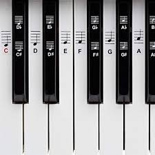 Spanisch teclado ‚tastatur', tecla, deutsch ‚taste', englisch keyboard), auch tastatur oder manual / pedal, bezeichnet eine reihe von tasten. Die Besten Hilfen Zum Noten Lernen E Piano Test