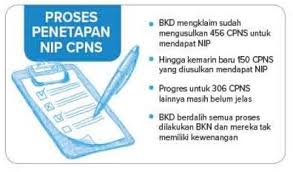 Di bawah ini kami lampirkan progres penetapan nip cpns tahun anggaran 2019 Hanya 150 Yang Diusulkan