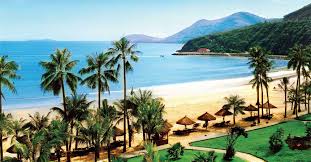 Báo khánh hòa điện tử, cơ quan của đảng bộ, chính quyền và nhân dân tỉnh khánh hòa. Lam Passport Há»™ Chiáº¿u Va Visa á»Ÿ Ä'au Táº¡i Khanh Hoa
