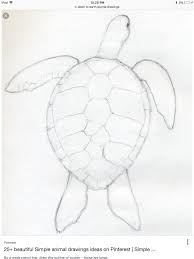 Pin Von Malorie Varnell Auf Journal Ideas Schildkrote Zeichnung Schildkrote Zeichnen Niedliche Zeichnungen