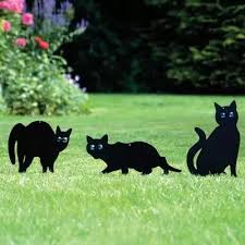 You could do the same with a bb gun, just fire it into the air when you see them get close to the garden so they associate the noise with the garden. What Are Some Ways To Keep Your Cats Out Of The Garden Quora