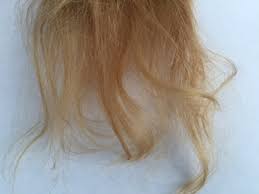 wie du deine kaputten haare reparieren kannst