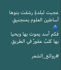 pin by hussein ouda on شعر palel calligraphy arabic calligraphy