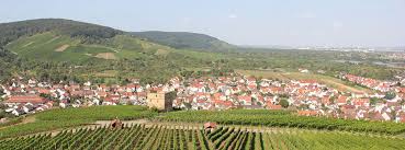 Das wahrzeichen des ortsteils stetten liegt idyllisch in den weinbergen und. 4 Zimmer Wohnung Zu Vermieten 71394 Kernen Stetten Mapio Net