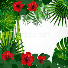 Beautiful seamless floral summer pattern background with japanese exotic flowers, wisteria. Tropical Floral Design Background Vector Illustration C Olgayakovenko 4925392 Stockfresh