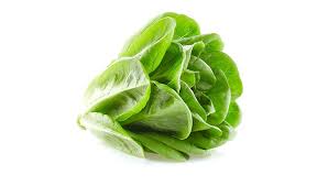 Lettuce — Leaf / Butterhead