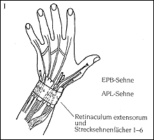 Dr Med Christoph Geiges Und Dr Med Klaus Lowka Handchirurgie Freiburg I Brsg