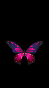 We have an extensive collection of amazing background images carefully chosen by our community. Butterfly Backgrounds Cool Backgrounds