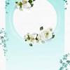 Mint green background for wedding. Https Encrypted Tbn0 Gstatic Com Images Q Tbn And9gcqph2dcshcr0ygwt2sblwxs7olfyuyqhxiytjj5nfgtsd Smoxb Usqp Cau